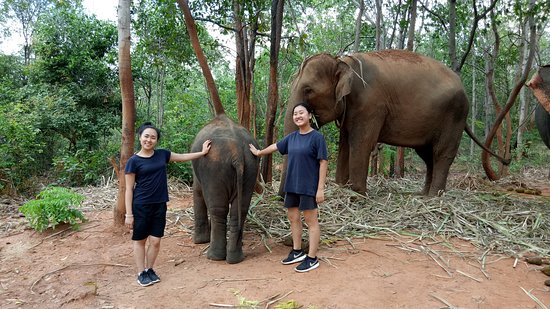 3 Must Visit Elephant Sanctuaries in Thailand
